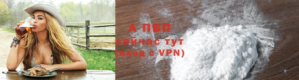 дживик Белокуриха