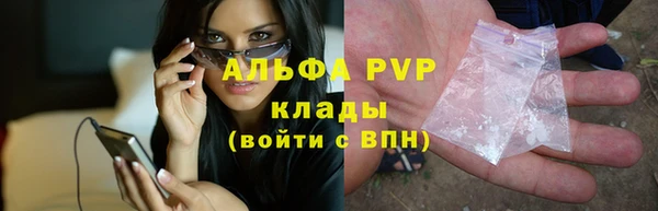 дживик Белокуриха