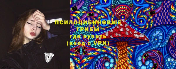 дживик Белокуриха