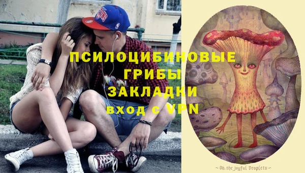 дживик Беломорск