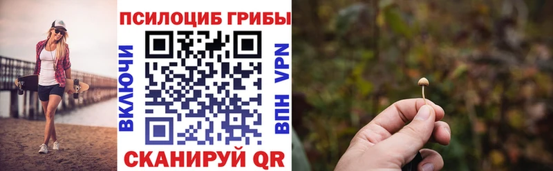 Псилоцибиновые грибы Magic Shrooms  Котельниково 